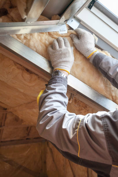 Best Insulation Installation Services in Munford, AL