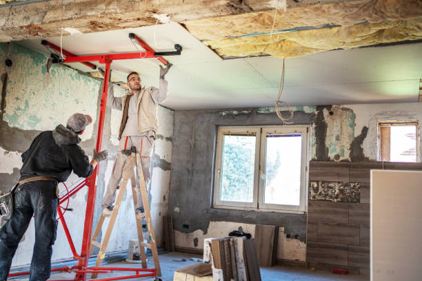 Best Insulation Maintenance and Repair in Munford, AL